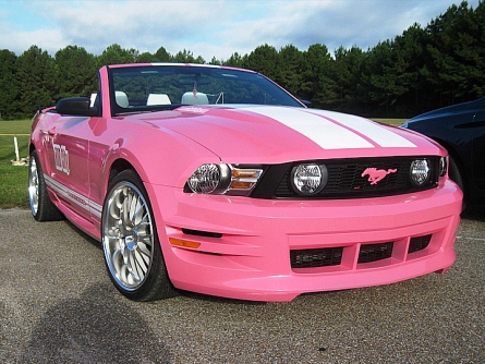 Pink Mustang